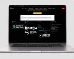 Illegal Use of Company Logo